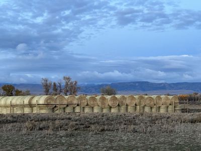 2025 Grass Hay 200/ton