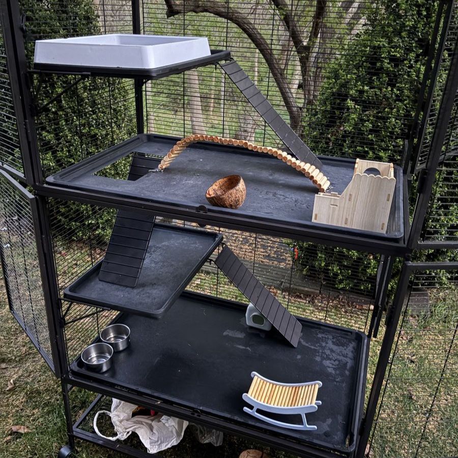 Cage + Supplies