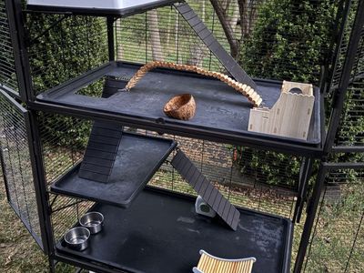 Cage + Supplies