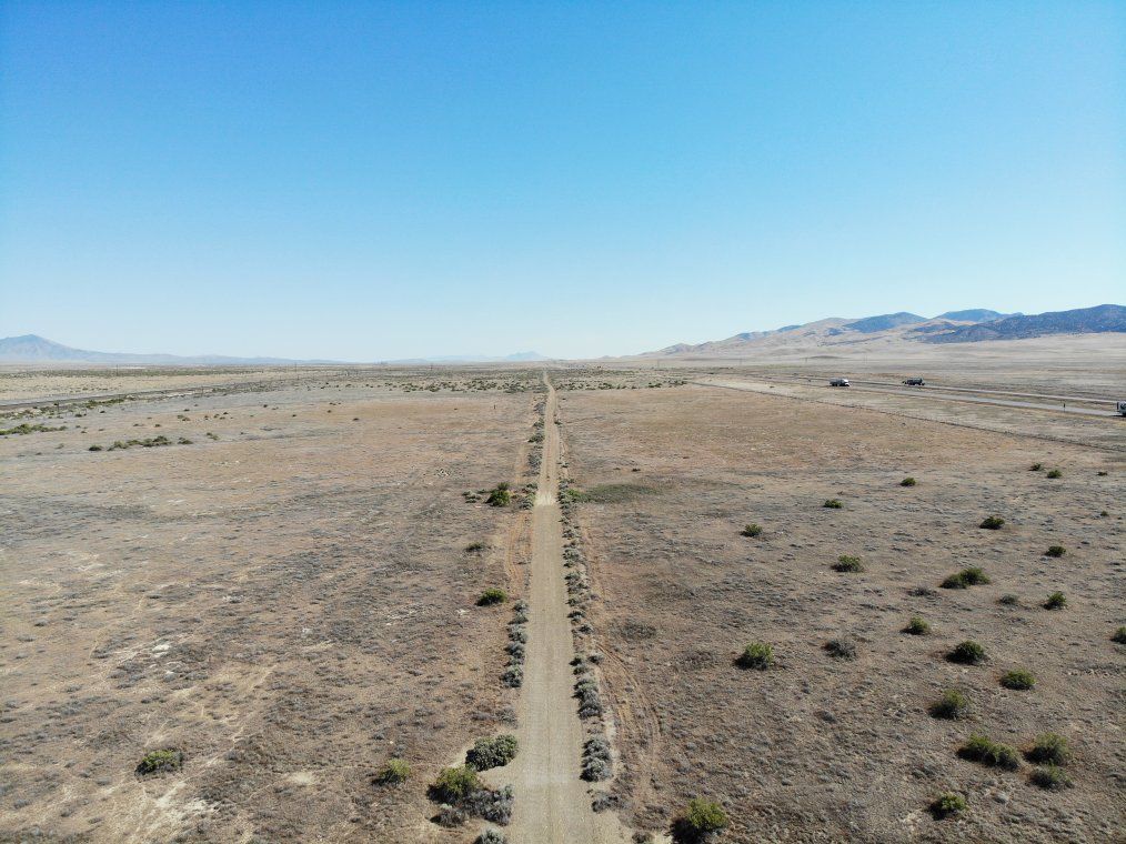 Main image 7