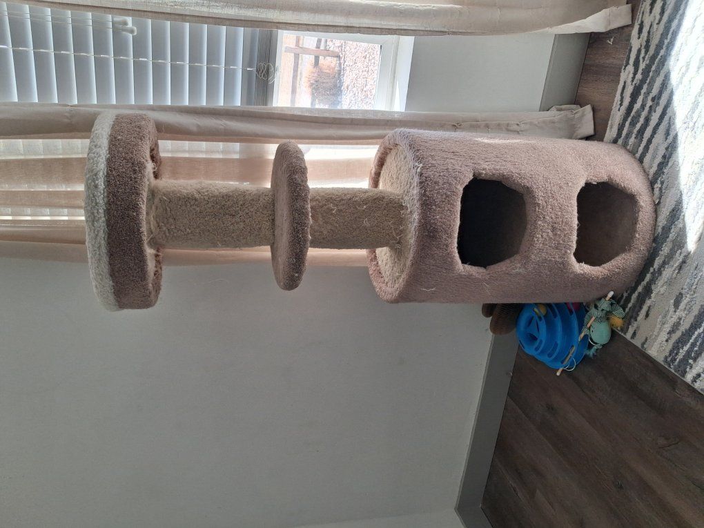 Cat towers and scratcher