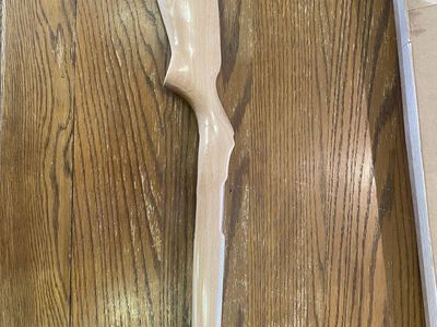 Ruger 10/22 Stock