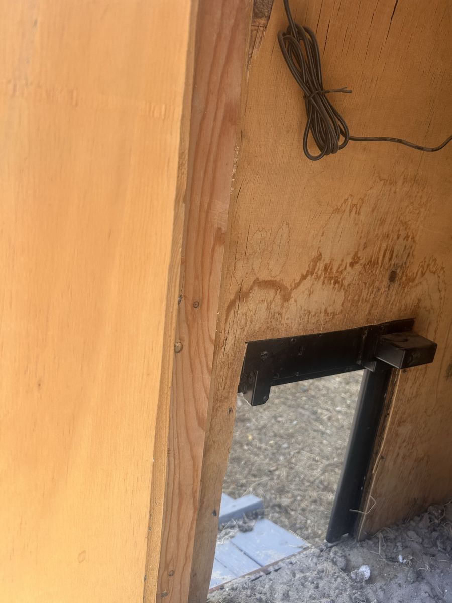 Main image 6