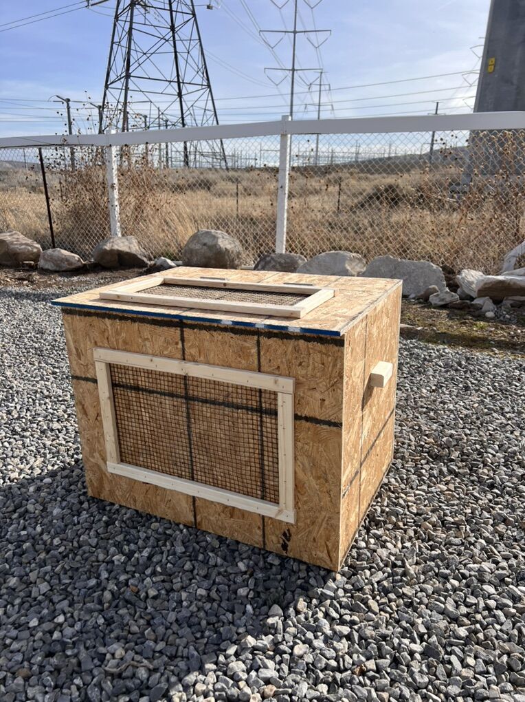 Backyard chicken starter package - brooder box / chicks / etc.