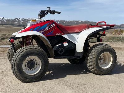 Polaris trailboss 250