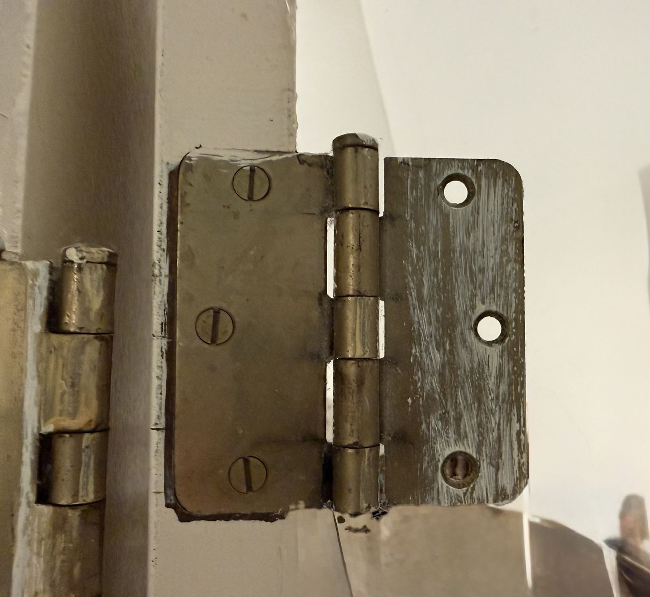 Main image 5