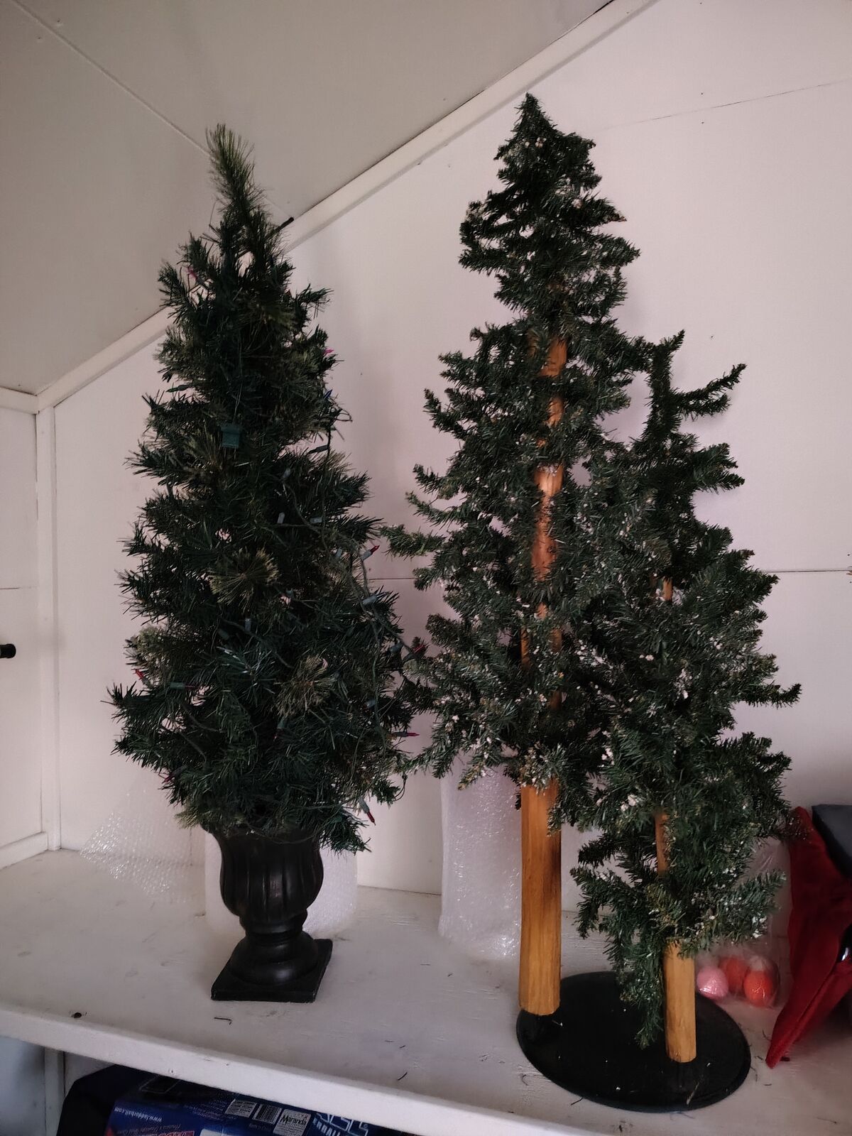 Christmas pine trees
