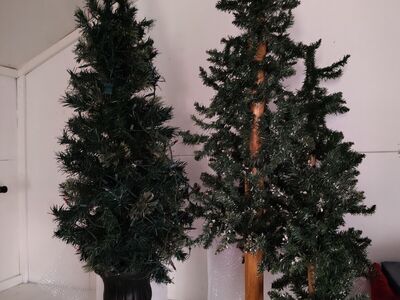 Christmas pine trees