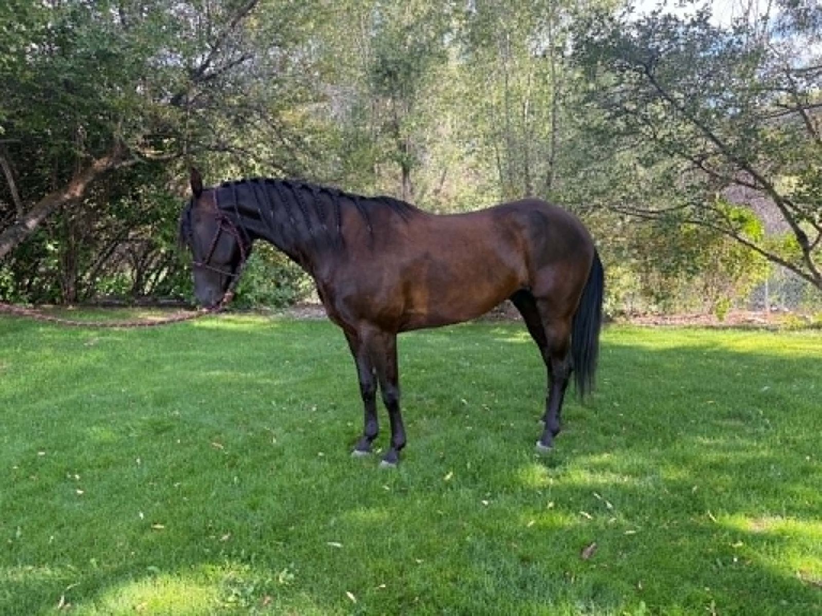 Main image 8