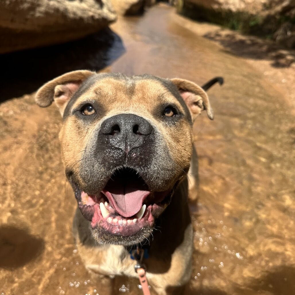 Hello my name is Joker