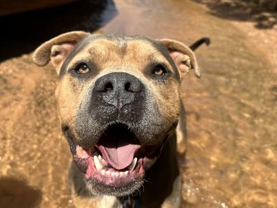 Hello my name is Joker