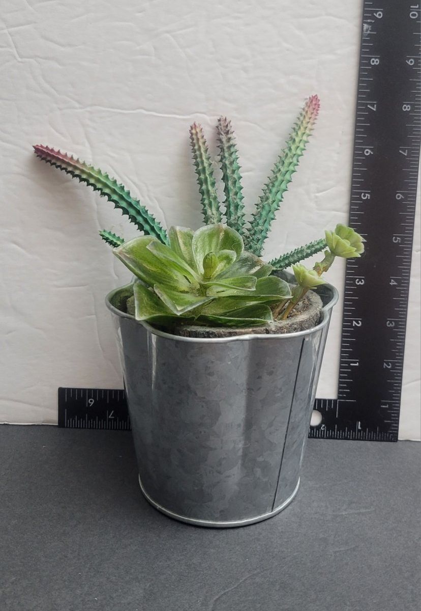 Small Artificial plants