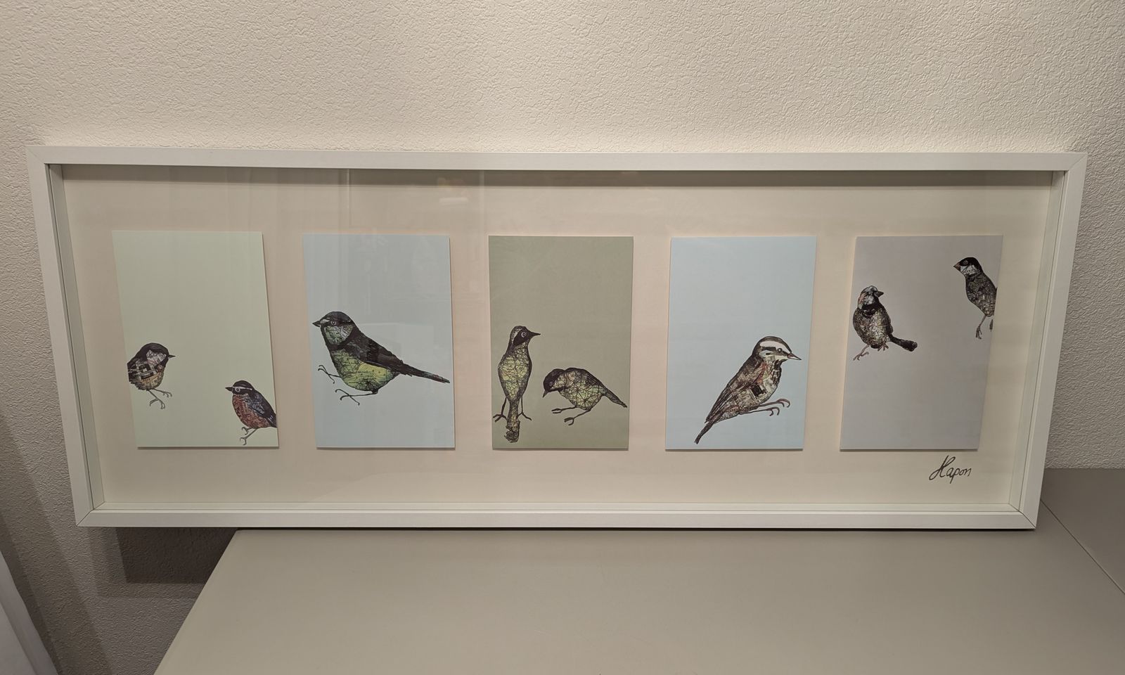 jenny capon framed bird illustrations   1999