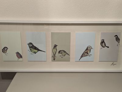 jenny capon framed bird illustrations 1999