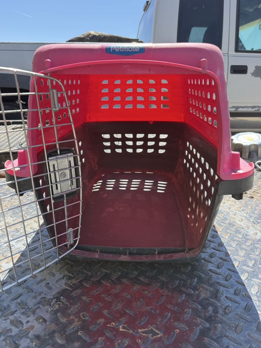 Petmate Pet Porter 23" Plastic Pet Kennel / Travel Crate - Hot Faded Pink
