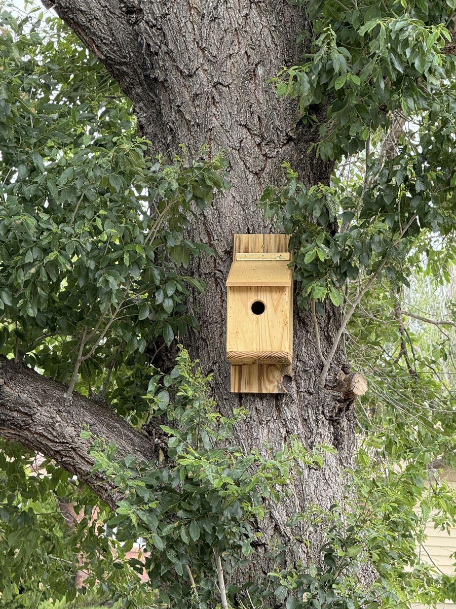 Bird house