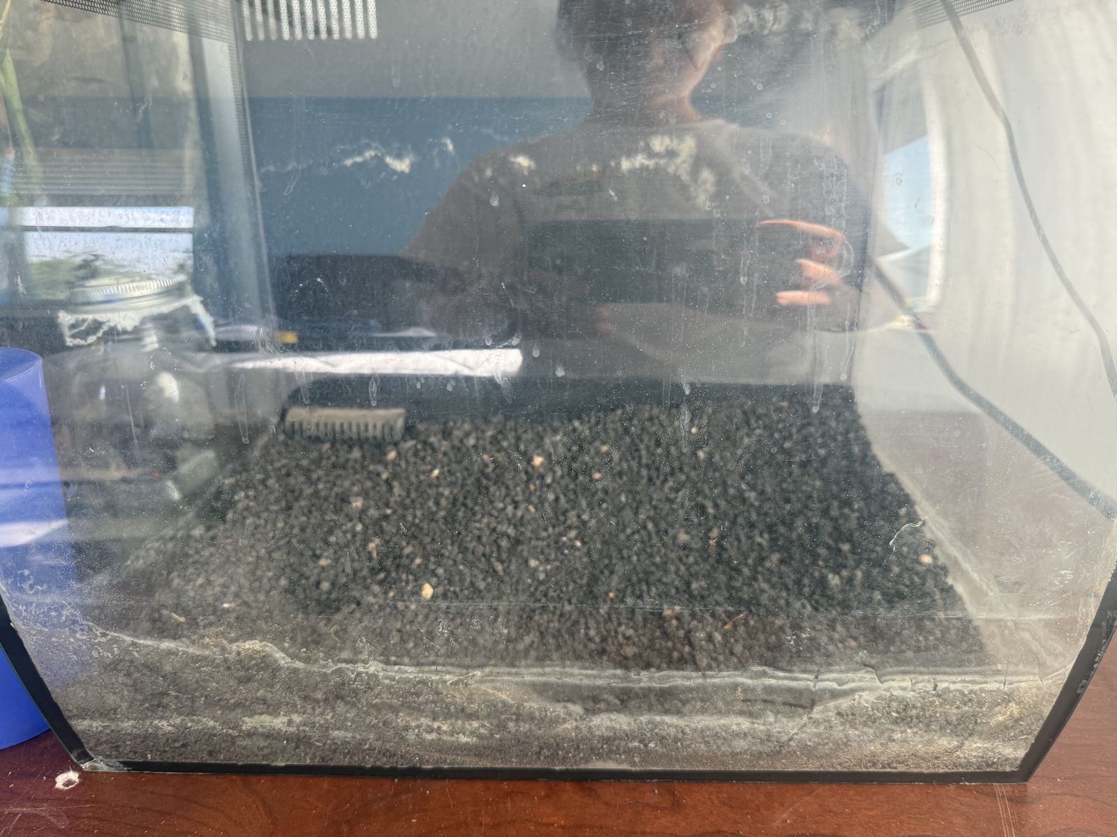 Used Small Aquarium Tank with Gravel and Male Beta Fish