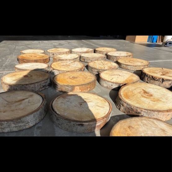 Rustic Wood Slices - Log Rounds for Decor, Crafts, Centerpieces - Approx. 12-13” Diameter, 2" Thick