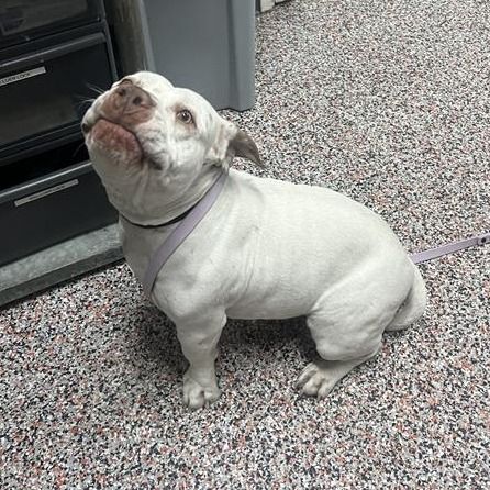 Hello my name is Summer Girl