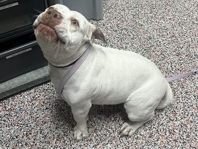 Hello my name is Summer Girl