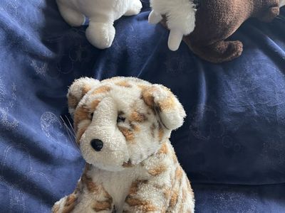SeaWorld Set of 3 Stuffed Animal Plush Toys