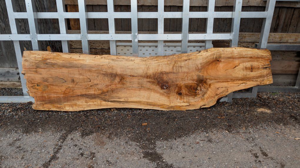 Spalted Maple slabs