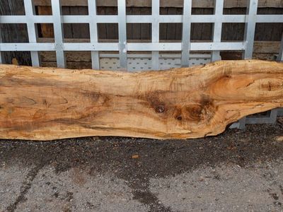 Spalted Maple slabs