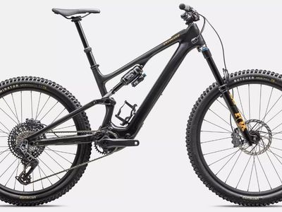 Specialized Turbo Levo SL 2 Expert Carbon S4