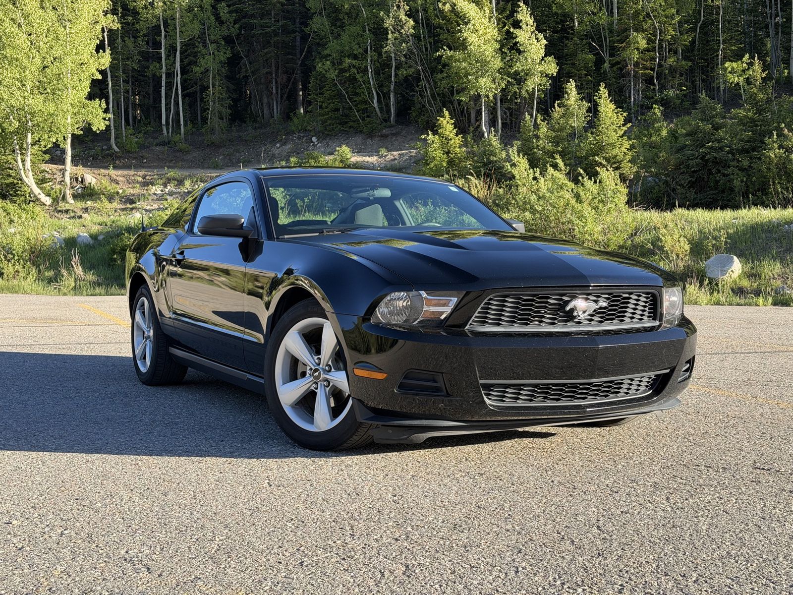 2010 Ford Mustang 