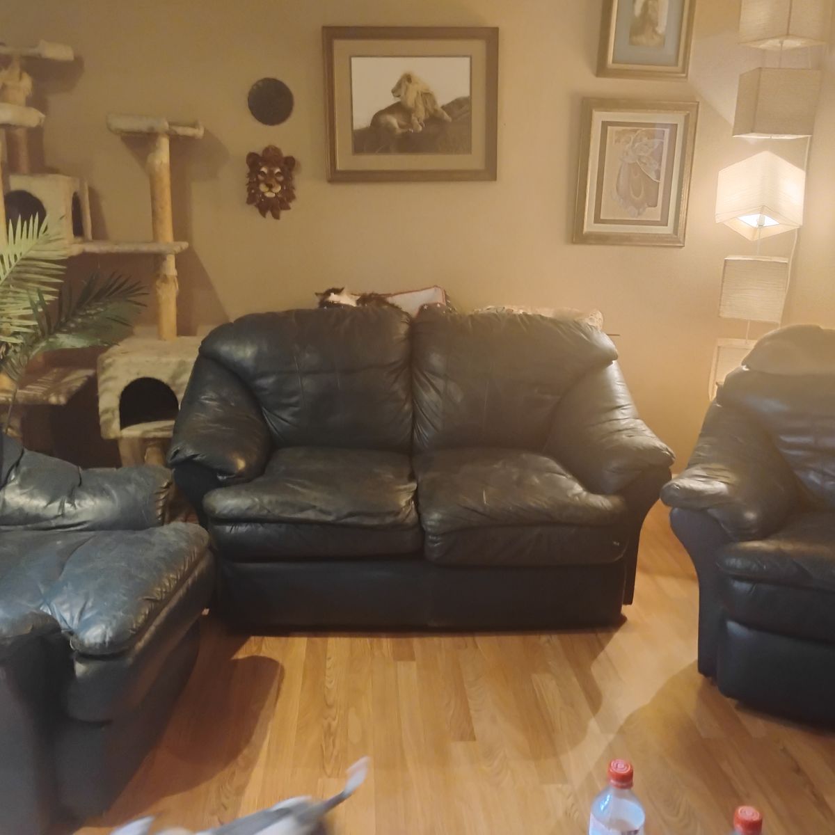 Main image 2