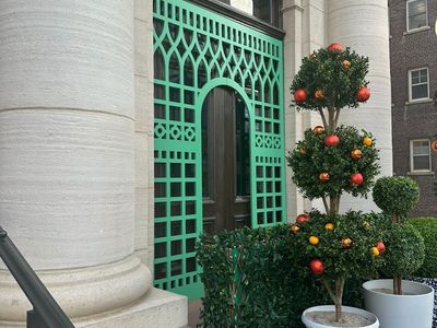 Outdoor Hedge / Yard Decor / Event Decor / Wedding Reception