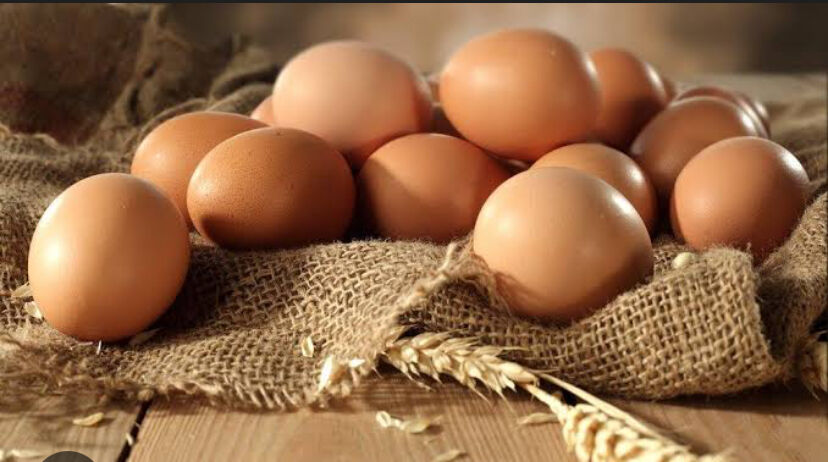 Chicken hatching eggs