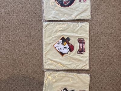 Pottery Barn Kids Pillow Covers