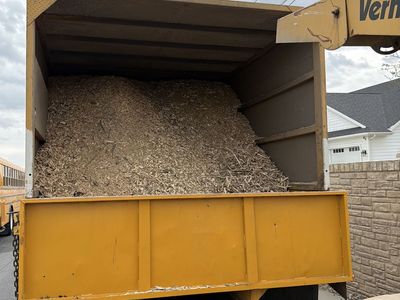 Woodchips (clean) Wood Chips