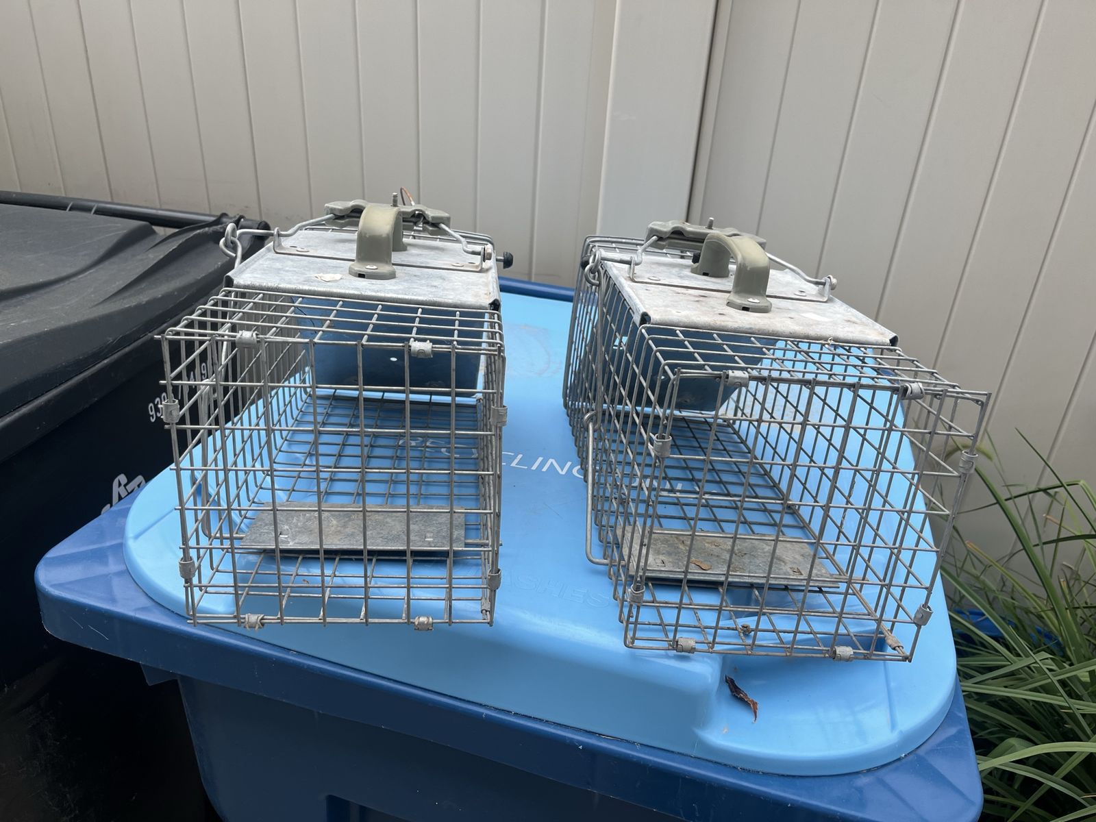 2 Medium Size Rodent Cages