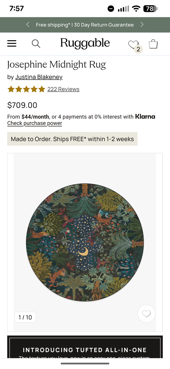 Ruggable Rug