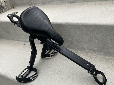 Kids Ride Shotgun bike seat