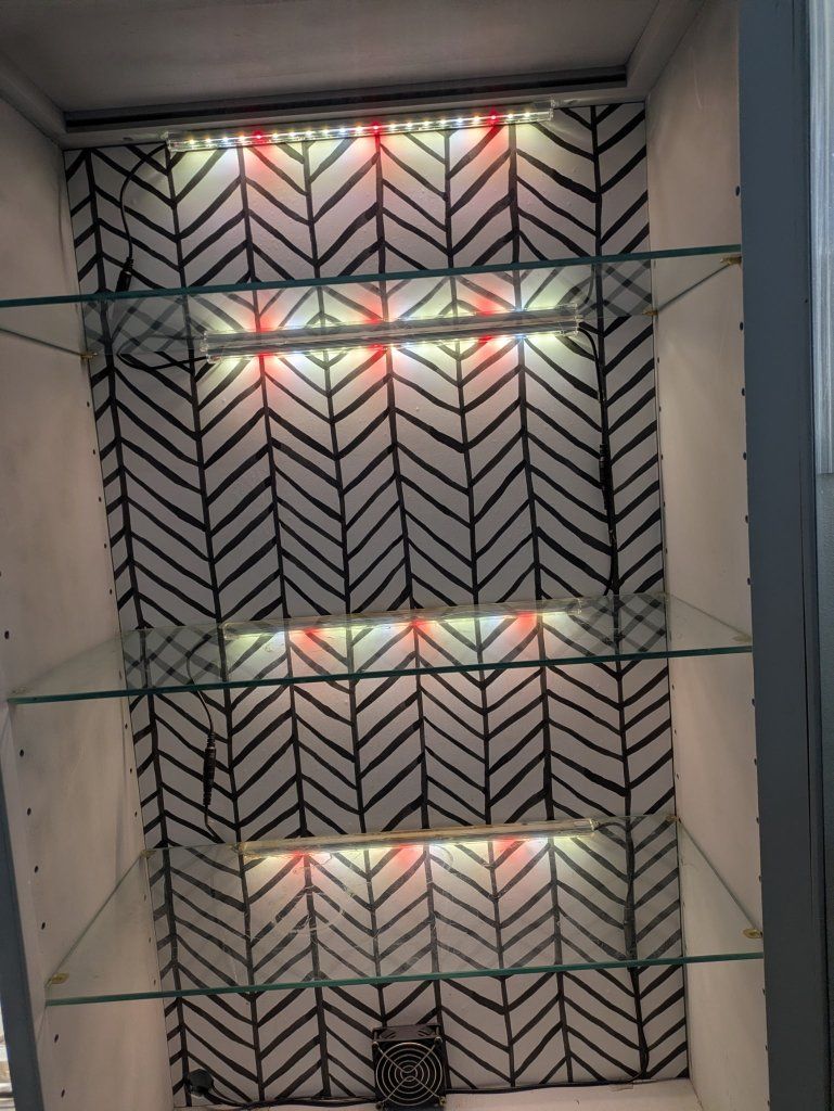 Main image 3