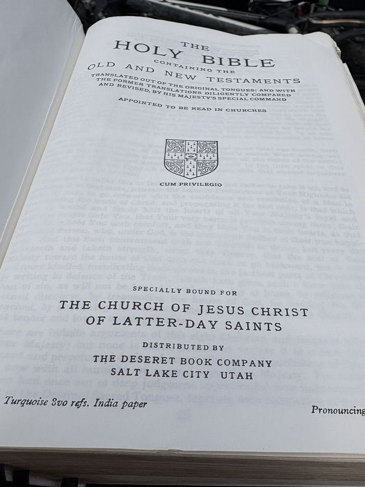 Main image 7