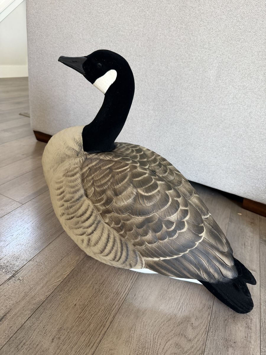 Goose
