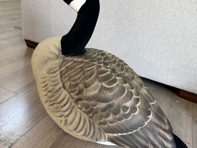 Goose