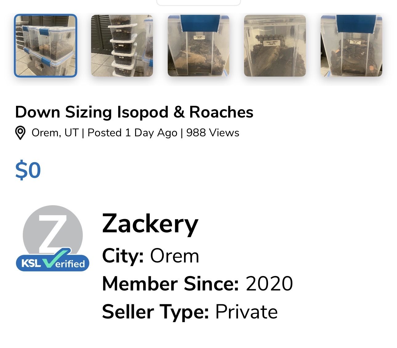 Isopod And Springtail Customers