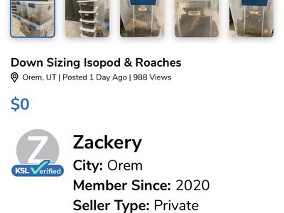 Isopod And Springtail Customers