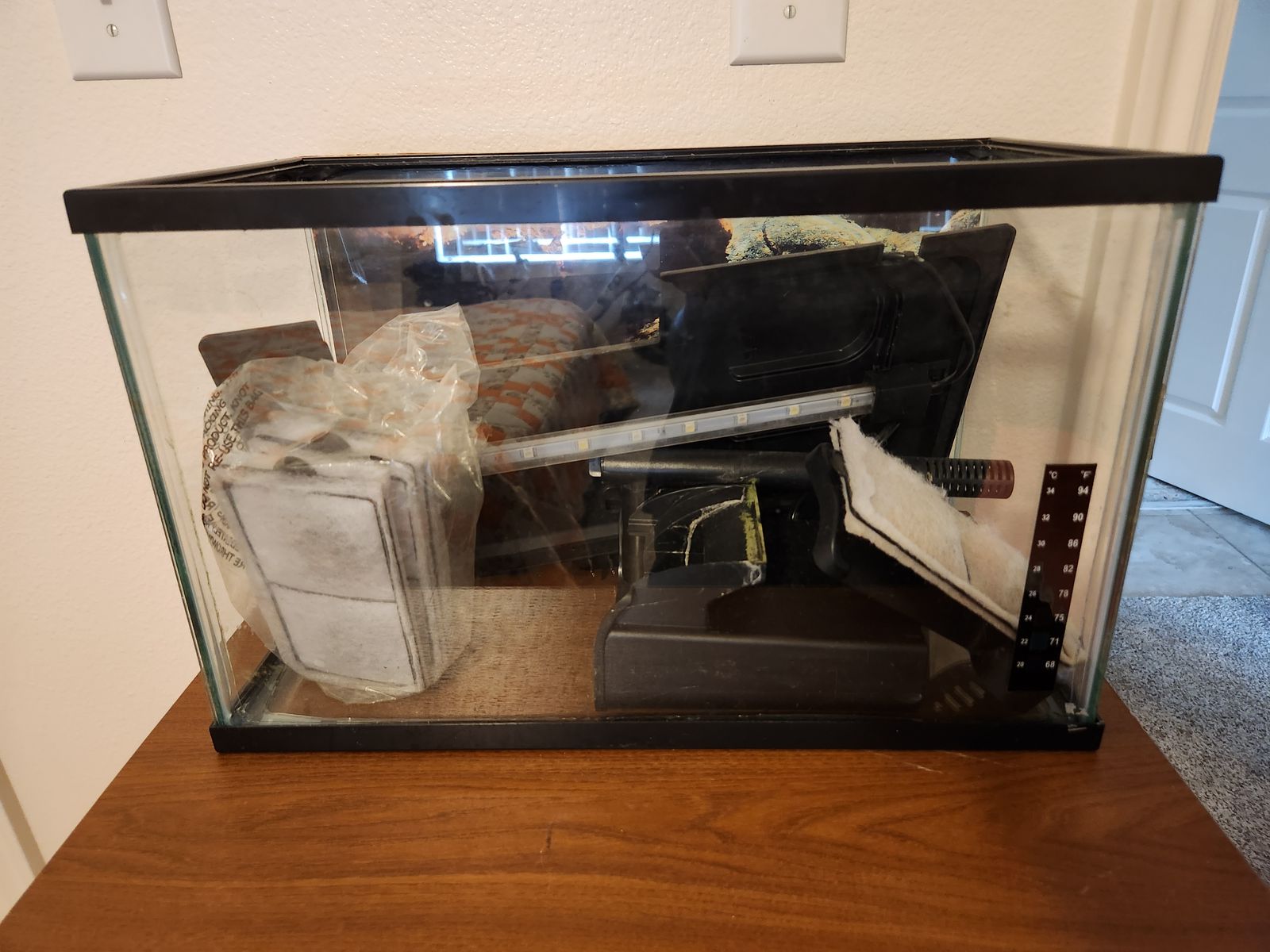 2 gallon aquarium