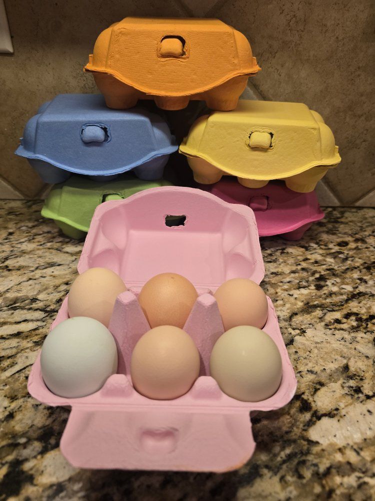 Beautiful Healthy Eggs!