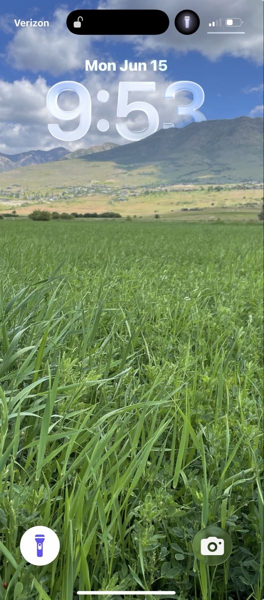 Hay for sale