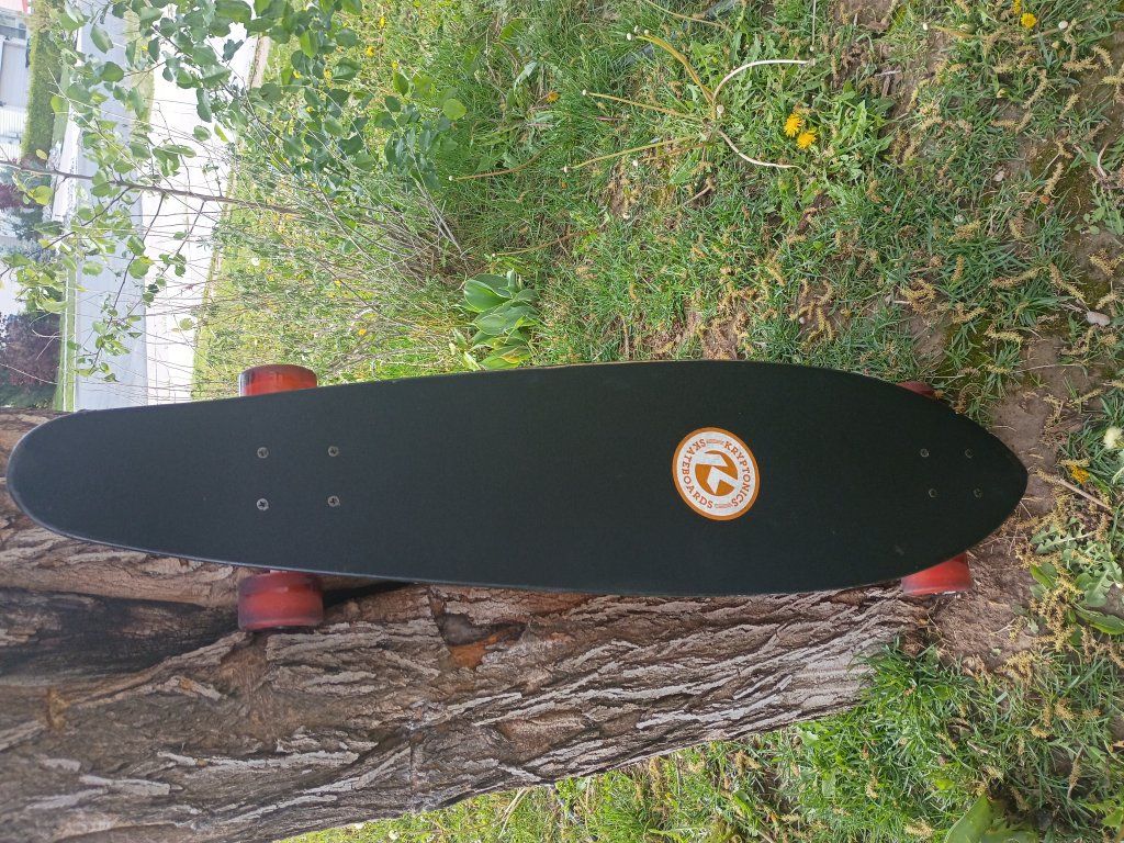 custom-made arbor fish longboard.