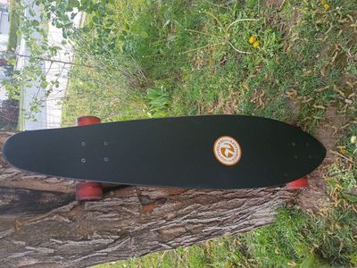 custom-made arbor fish longboard.
