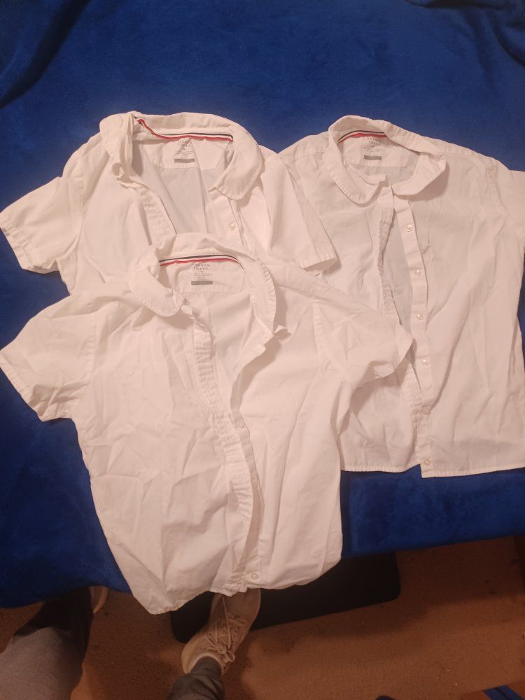 APA French Toast White Short Sleeve Collared Shirts Size 16 - Lot of 3