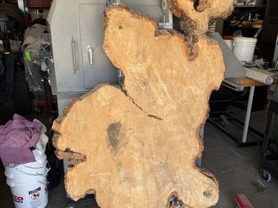 Tree slice/table
